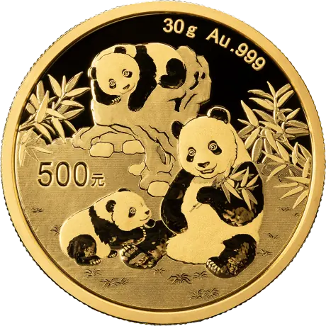 Zlatá mince Panda 30 g - 2025