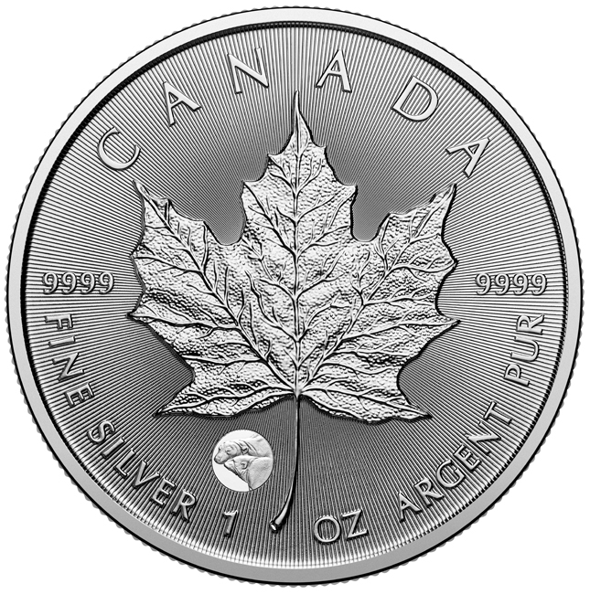 Vzácný Maple Leaf - Lední medvěd 2025, 1 oz stříbra v blistru