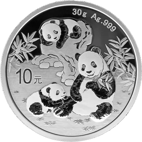 Stříbrná mince Panda 2025, 30 g