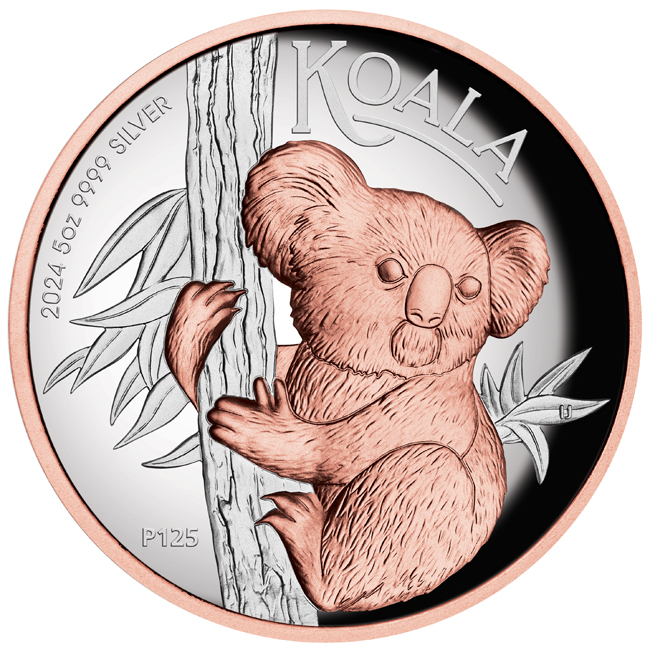 Stříbrná mince koala 2024 v etuji, 5 oz 