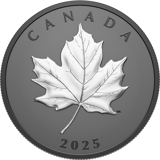 Elegantní Maple Leaf 2025, 1 oz stříbra v etuji