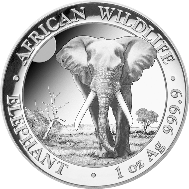 Africká divočina - Slon, 1 oz stříbra v etuji